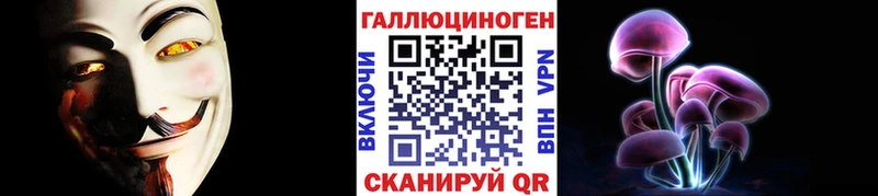 дарнет шоп  Касли  Галлюциногенные грибы прущие грибы 
